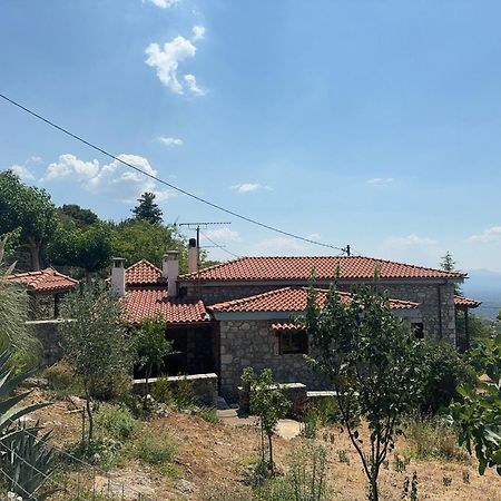 Psárion Terra Petra Villa At Psari Trikolonon Gortynia מראה חיצוני תמונה