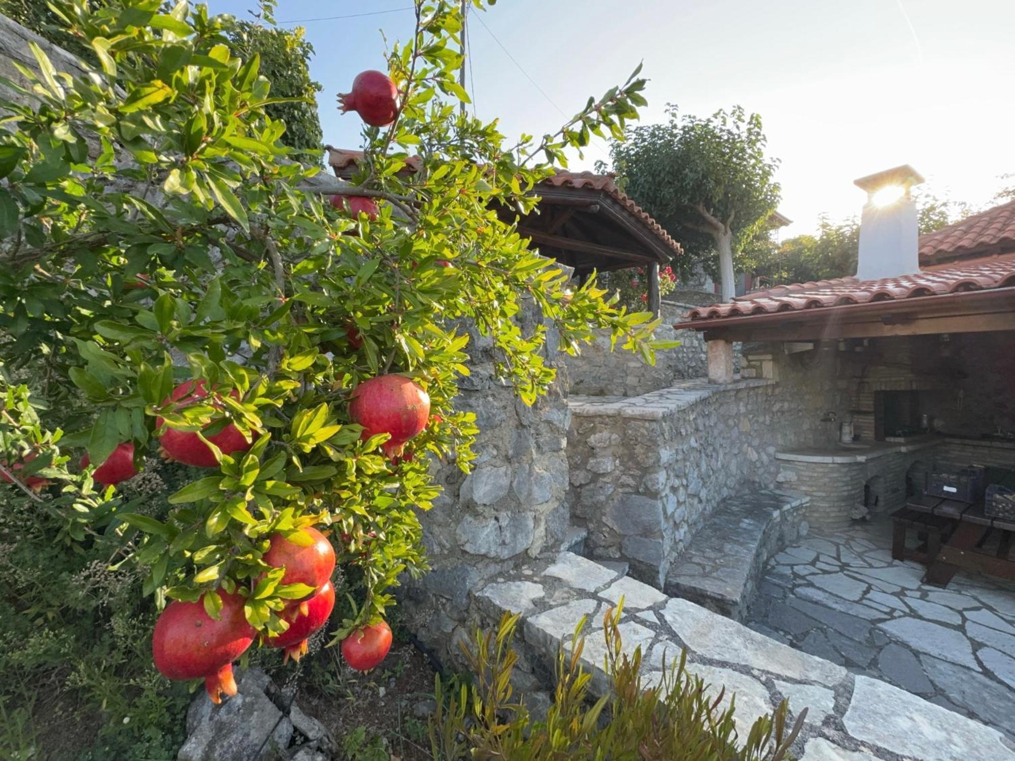 Psárion Terra Petra Villa At Psari Trikolonon Gortynia מראה חיצוני תמונה